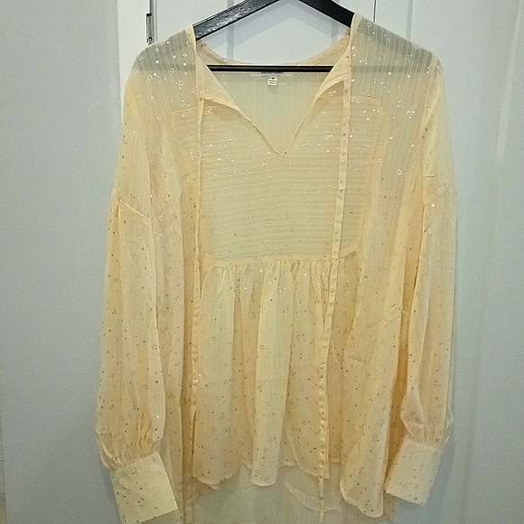 Sheer Blouse - Picture 1 of 3